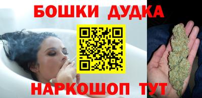 шишки Камышлов