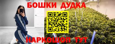 МДПВ Кандалакша