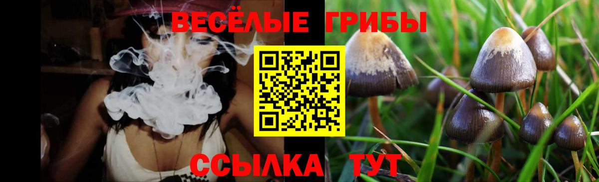Галлюциногенные грибы Psilocybine cubensis  Вход с VPN  Кузнецк 