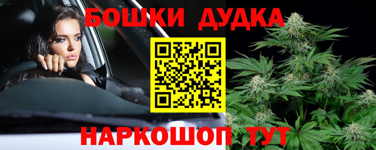 Бошки Шишки планчик  Вход с VPN  Кузнецк  Каннабис индика 